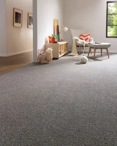 plain-room-carpet-500x500